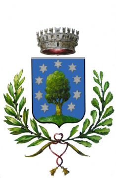 Sfoglia la galleria